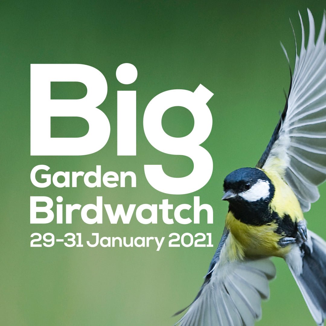 2021 RSPB Big Garden Birdwatch