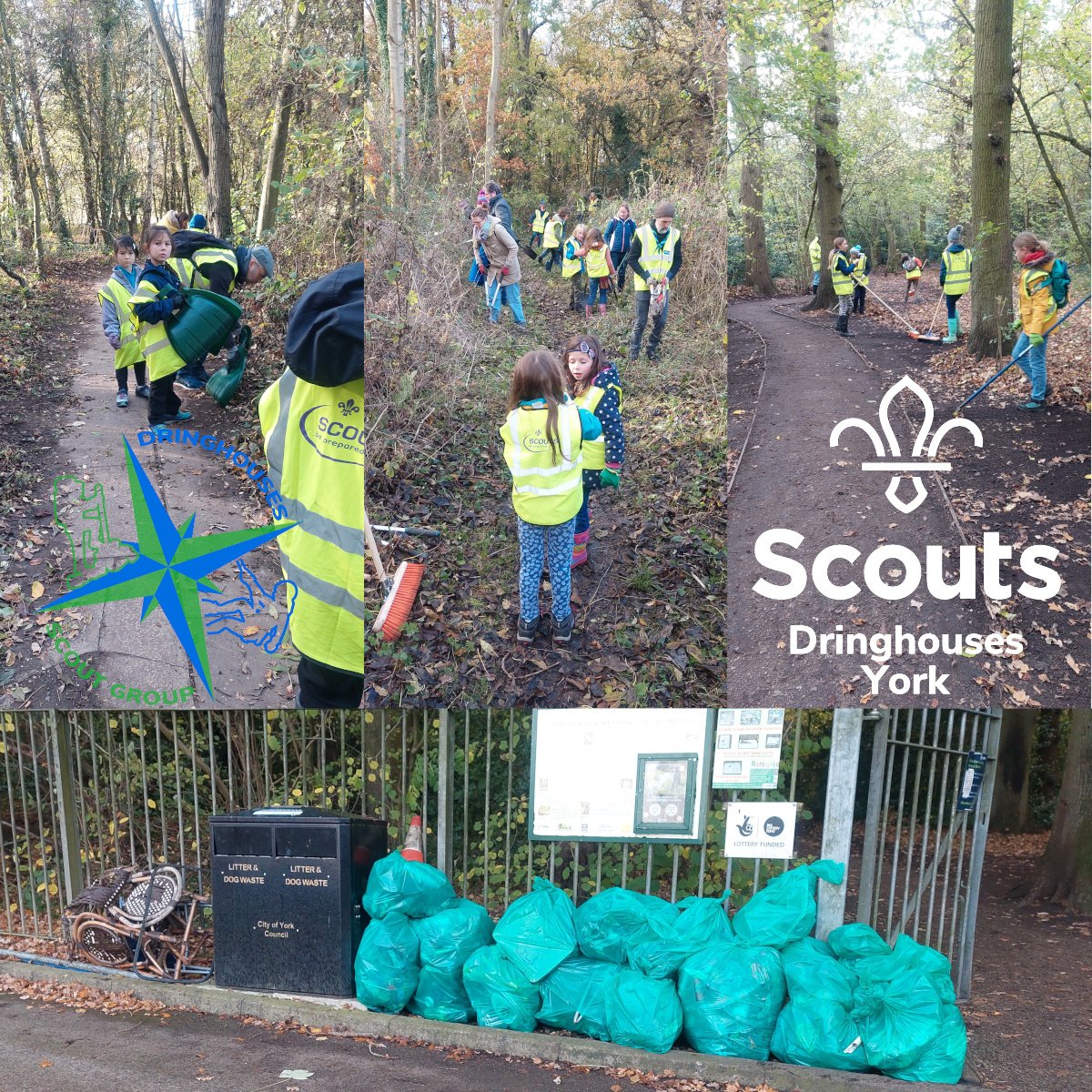 Acomb Wood Clean-up II