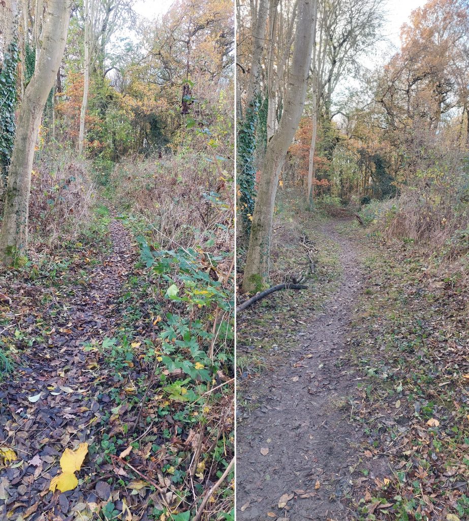 Before and after: Zone 3, clearing overgrown footpath