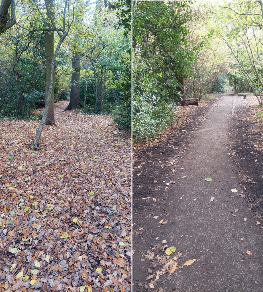 Before and after: Zone 2 footpath clearance