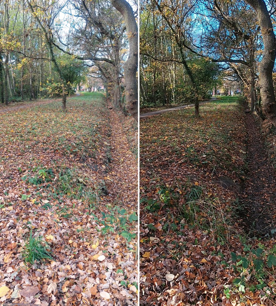 Before and After: Zone 4, path and ditch