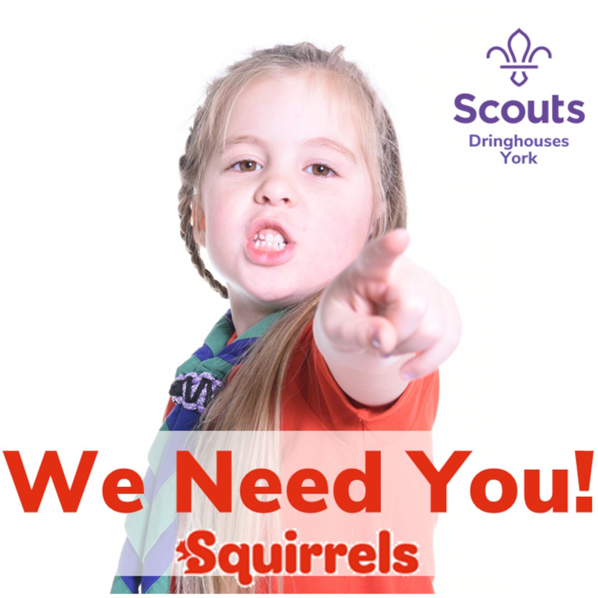 New Squirrels Section: Volunteers Needed