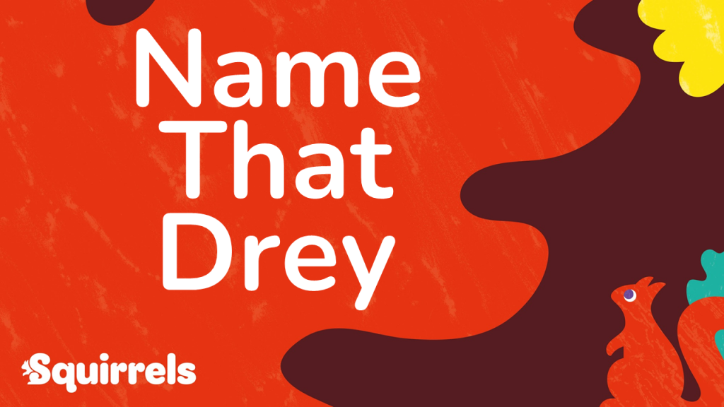 Name that drey, the final vote