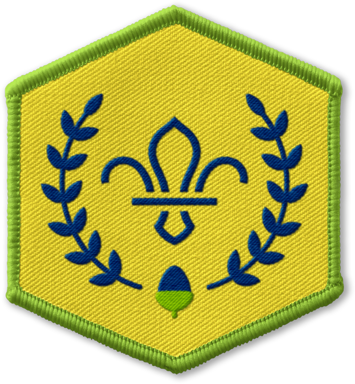 Chief Scouts Acorn Award