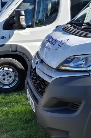 Minibuses and Van in profile