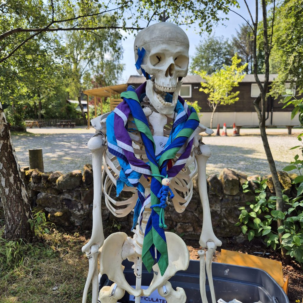 Meet Boris, from CHaOS. #DringyGroupCamp25