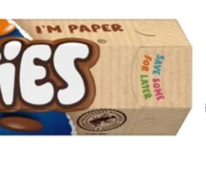 World Scout Jamboree and Interrrailing fundraising