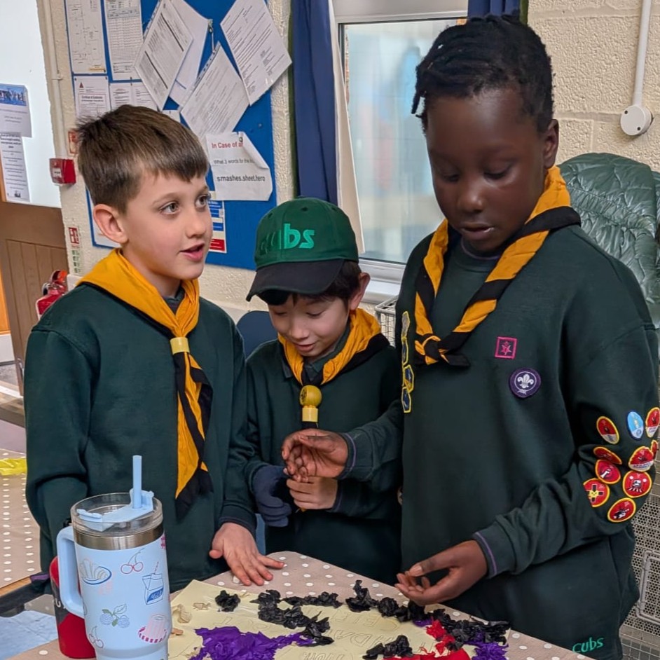 Cubs discussing the design of their poster