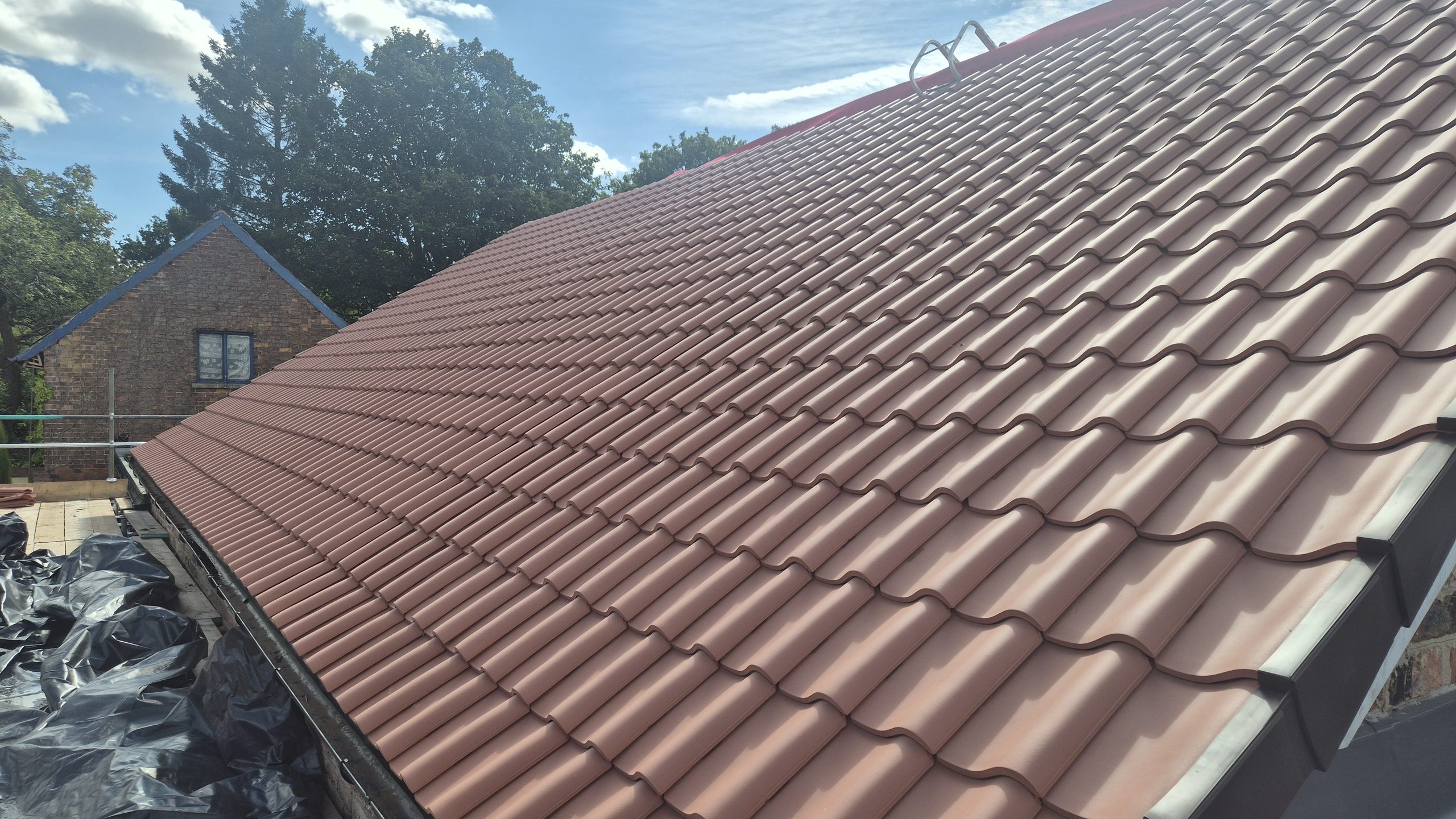 New Roof, New Heights